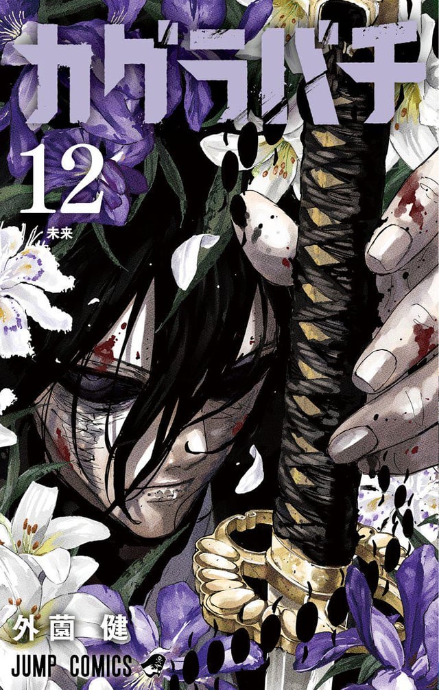 Volume 12 cover