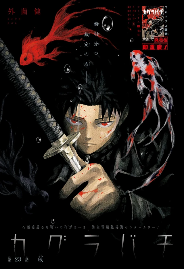 Chapter 23 color page